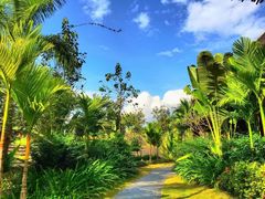 -长沙富力万达文华酒店