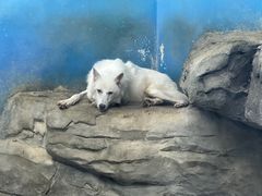 -梦幻海洋王国(吾悦广场张家港店)