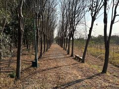 -嘉北郊野公园