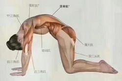 -归位瑜伽&归位普拉提