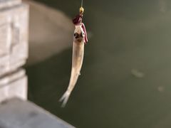 -扬州古运河