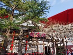 -杭州宋城