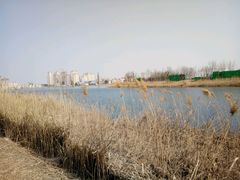 -天津东丽湖风景区