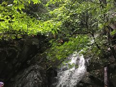 -藏龙百瀑风景区