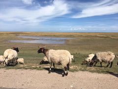 -青海湖国家重点风景名胜区