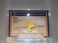 -中国地质大学逸夫博物馆