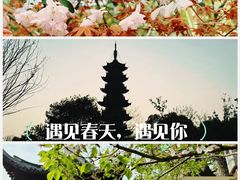 -龙华寺