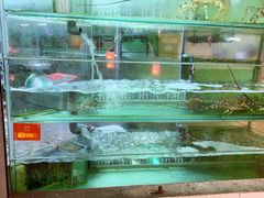 -大茄来海鲜餐厅(亚洲城分行)