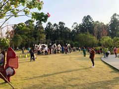 景点-天府芙蓉园