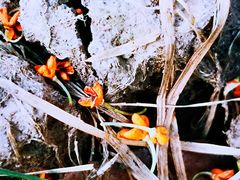 -天津东丽湖风景区