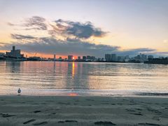 -台场海滨公园船码头
