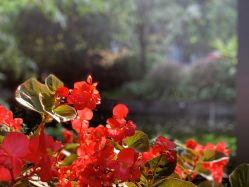 点击看大图 -莲生母婴月子中心(清水河公园店)