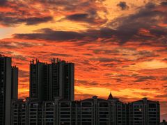 -三水森林公园