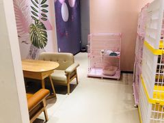 -藏猫猫咖啡主题馆(中央大道店)