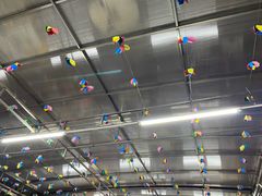 -顺德哥卜卜贝(旗舰店)