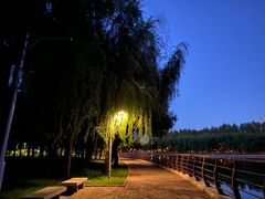 -长春公园(普阳街道)