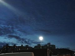 -福田农产品批发市场有限公司蔬菜交易区