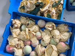 -老袁家蜜桃农场·阳山水蜜桃