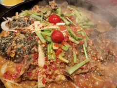 -老板恋上鱼(恒隆广场店)