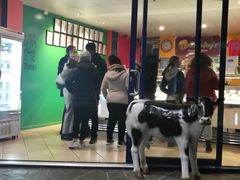 -Dooley's Premium Ice Cream