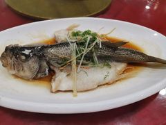 清蒸鲈鱼-黄B湛江鸡饭店(粤垦路店)