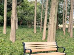 -新虹桥中心花园