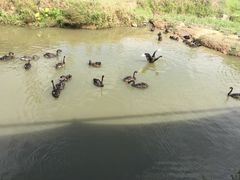 -泉州海丝野生动物世界