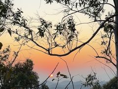 -神光山国家森林公园