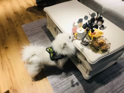 -MZ SKIN CARE逆齢驻颜中心