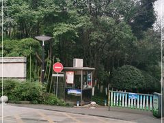 -重庆彩云湖湿地公园