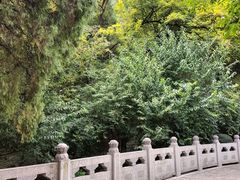 -佛慧山