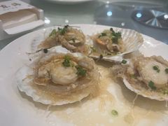 扇贝-大东海海鲜酒楼(渔人码头总店)
