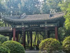 -迎泽公园