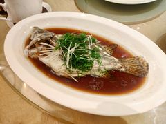 清蒸桂花-正佳广场万豪酒店-粤菜餐厅·点心·海鲜·聚餐