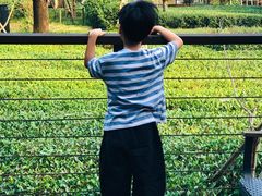 -杭州开元森泊度假乐园