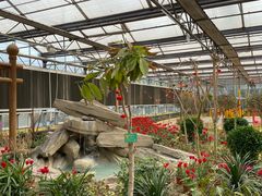 -南宫五洲植物乐园