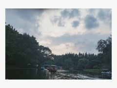 -上海共青森林公园