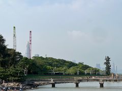 -深圳湾公园(南山区)