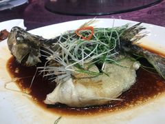 -万柳阁小馆·花园餐厅(龙潭湖店)