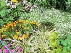 -西湖外事游船(花港观鱼码头)