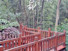 -上海佘山国家森林公园天马山园