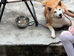 -Again Coffee Roaster(香蜜湖店)