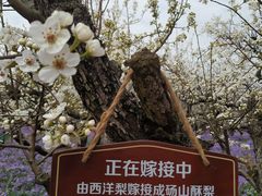 -江苏三台山国家森林公园