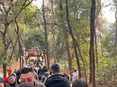 -灵顺寺
