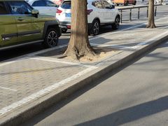 -北京大学燕东园