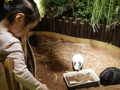 -藦茜花园宠物主题亲子互动体验馆(国顺东路店)