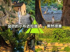 -杨家堂村