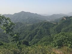 -六里坪国家森林公园