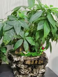 -尚美皮肤管理·美甲美睫高订