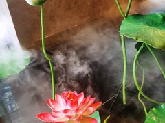 -苏州希尔顿酒店·园大堂吧